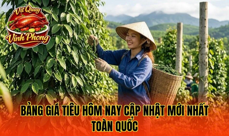 bảng giá tiêu hôm nay cập nhật mới nhất toàn quốc