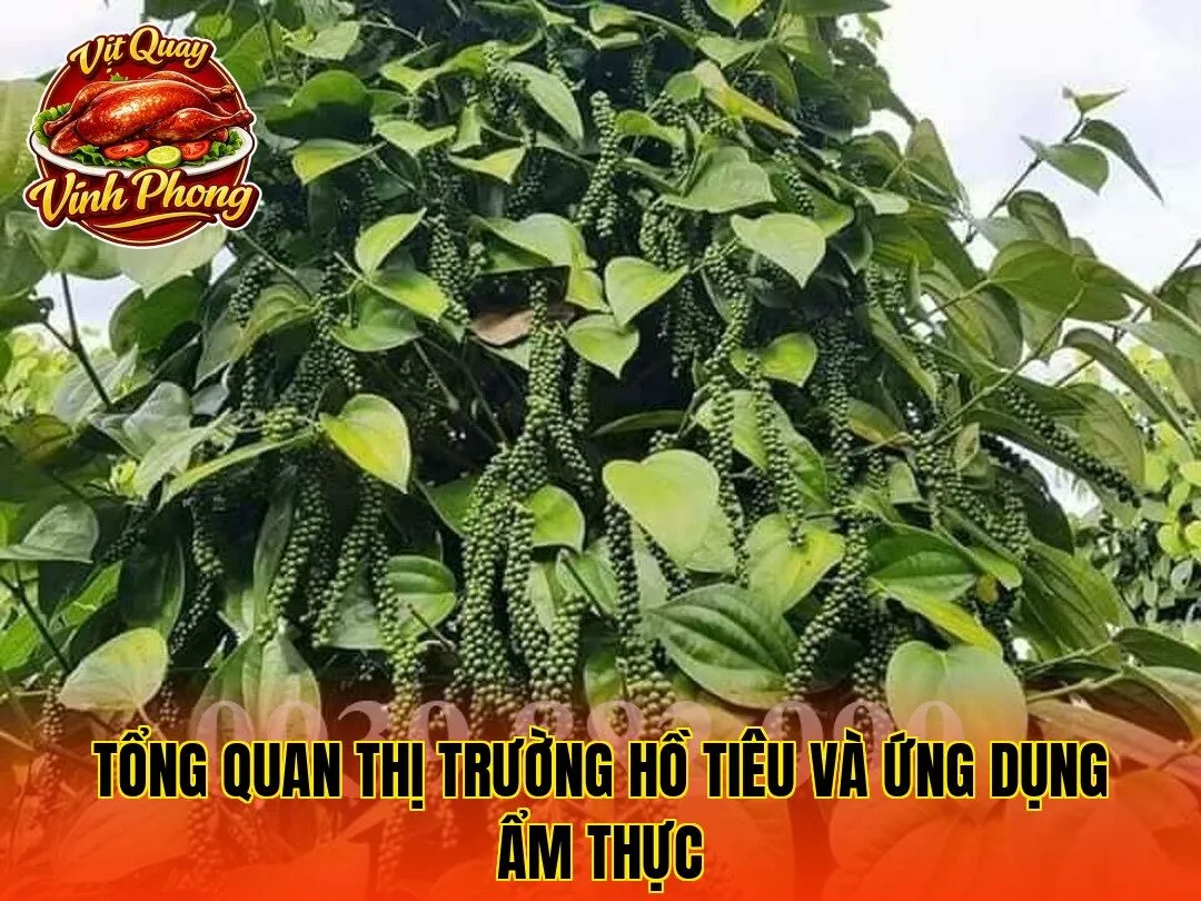 tổng quan thị trường hồ tiêu và ứng dụng ẩm thực