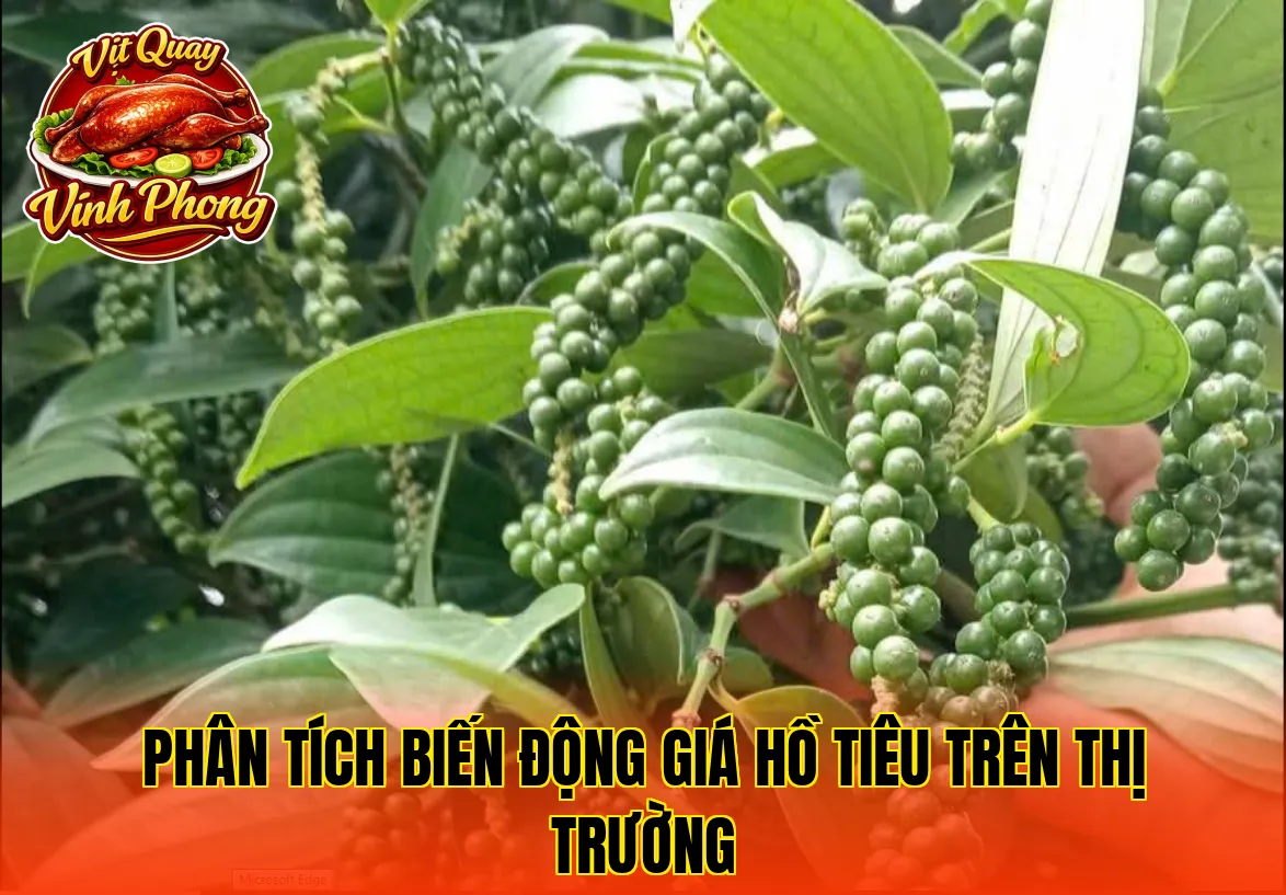 phân tích biến động giá hồ tiêu trên thị trường